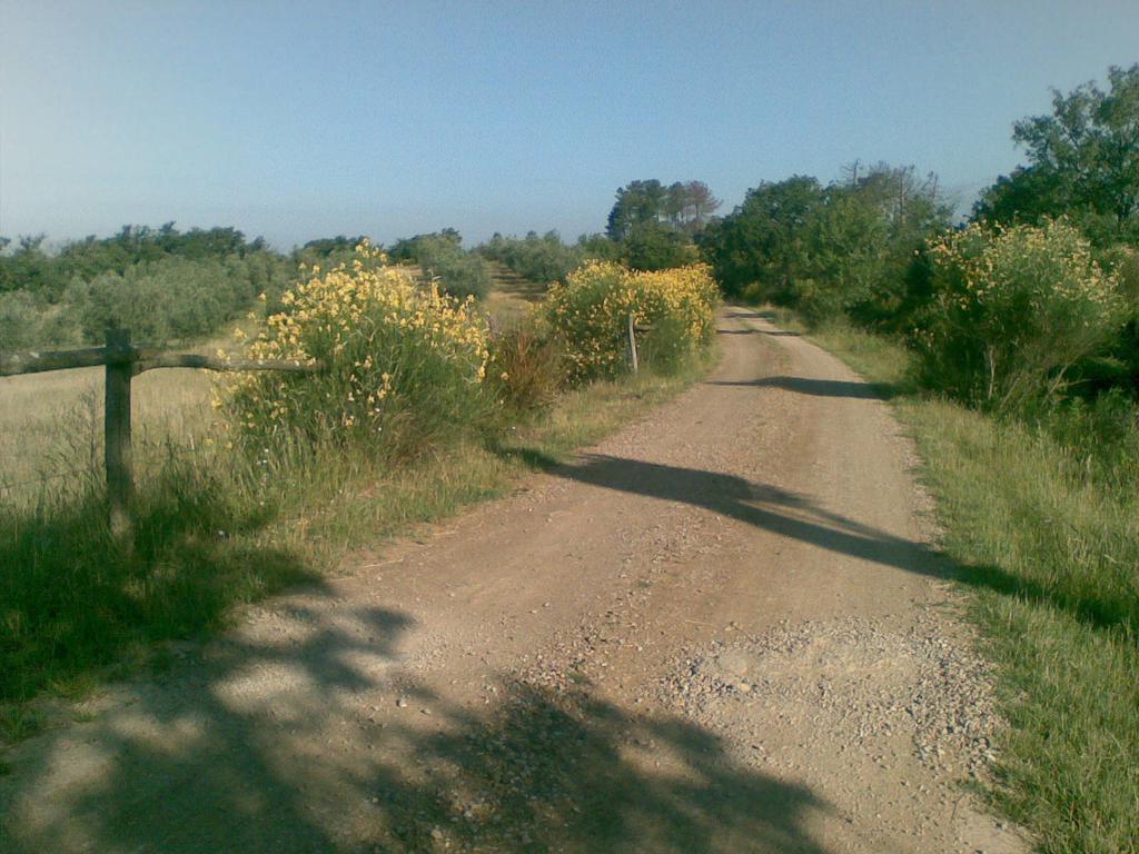 Podere Campovecchio Rapale Exterior photo
